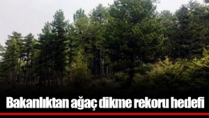 Bakanlıktan ağaç dikme rekoru hedefi