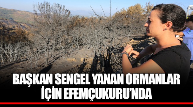 BAŞKAN SENGEL YANAN ORMANLAR İÇİN EFEMÇUKURU’NDA