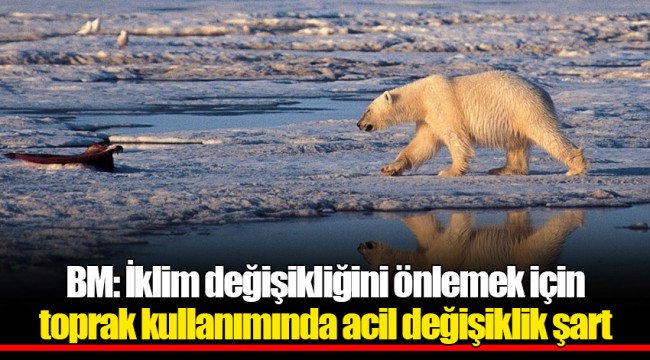 BM: İklim değişikliğini önlemek için toprak kullanımında acil değişiklik şart