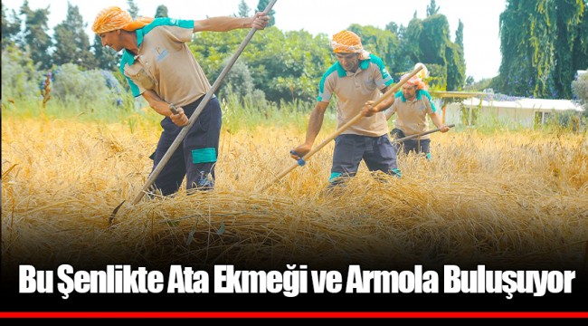 Bu Şenlikte Ata Ekmeği ve Armola Buluşuyor