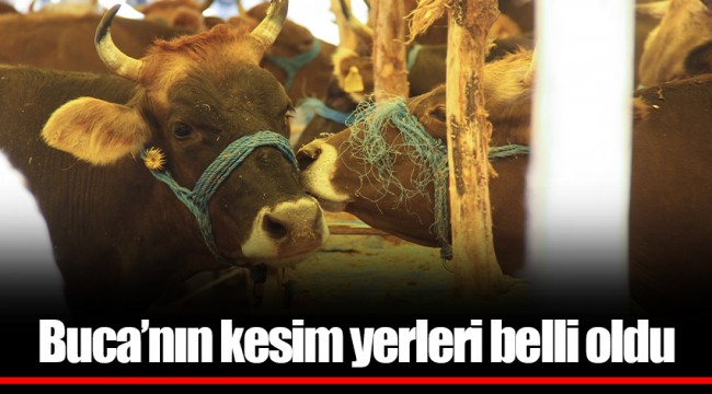 Buca’nın kesim yerleri belli oldu
