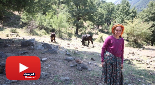 Çaresizliğin yüzü olan Sabiha nine kurbanlık satacak