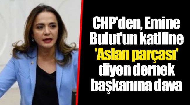 CHP'den, Emine Bulut'un katiline 'Aslan parçası' diyen dernek başkanına dava