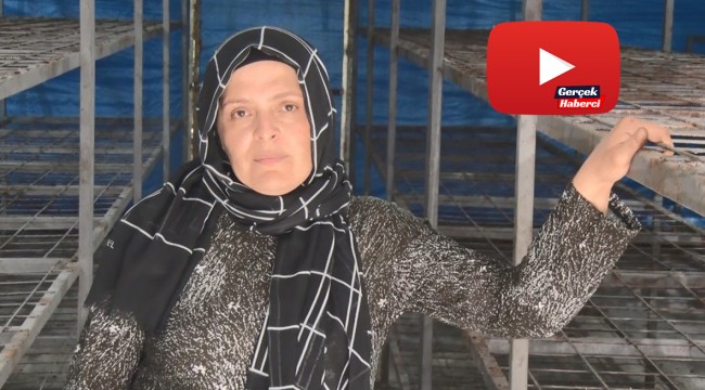 Dolandırıldığını iddia eden kadın girişimci yardım bekliyor