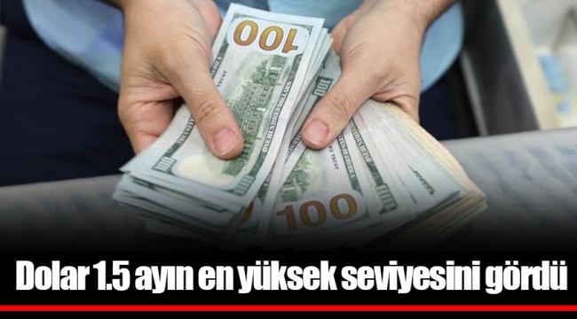 Dolar 1.5 ayın en yüksek seviyesini gördü
