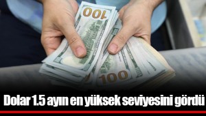 Dolar 1.5 ayın en yüksek seviyesini gördü
