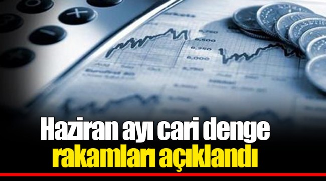 Haziran ayı cari denge rakamları açıklandı