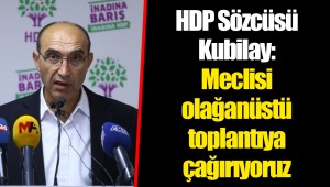 HDP Sözcüsü Kubilay: Meclisi olağanüstü toplantıya çağırıyoruz