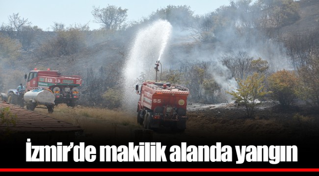 İzmir’de makilik alanda yangın