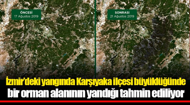 İzmir’deki yangında Karşıyaka ilçesi büyüklüğünde bir orman alanının yandığı tahmin ediliyor