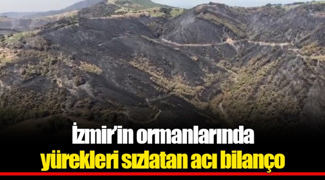 İzmir’in ormanlarında yürekleri sızlatan acı bilanço