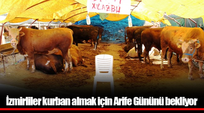 İzmirliler kurban almak için Arife Gününü bekliyor