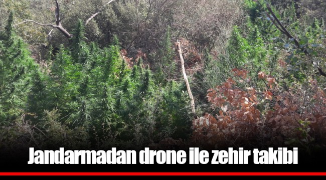Jandarmadan drone ile zehir takibi