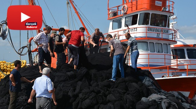 Karadenizli balıkçılar 'Vira Bismillah' demek için gün sayıyor