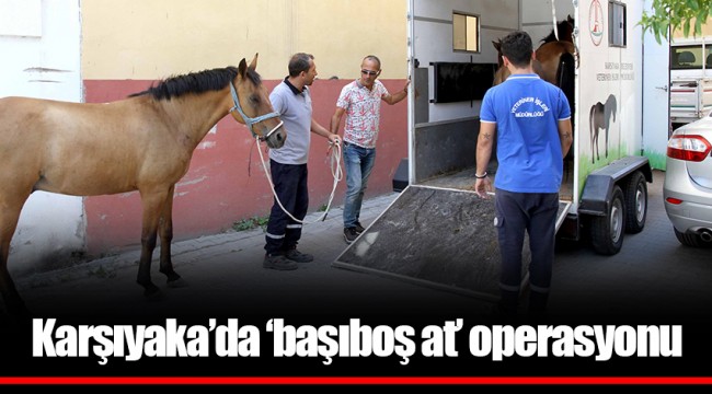 Karşıyaka’da ‘başıboş at’ operasyonu