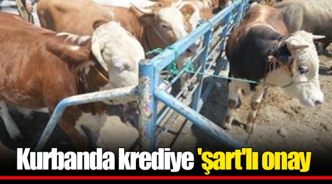 Kurbanda krediye 'şart'lı onay