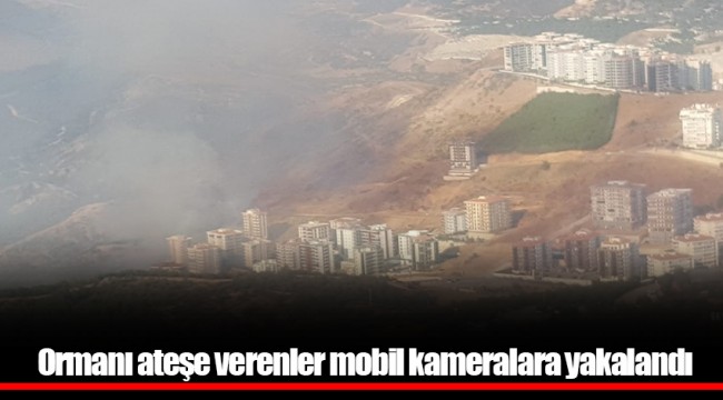 Ormanı ateşe verenler mobil kameralara yakalandı