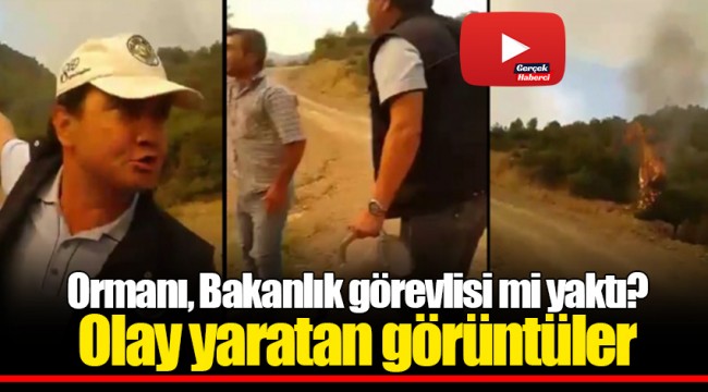 Ormanı, Bakanlık görevlisi mi yaktı? Olay yaratan görüntüler