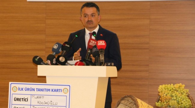 Pakdemirli'den 'Volkswagen' açıklaması