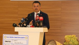 Pakdemirli'den 'Volkswagen' açıklaması