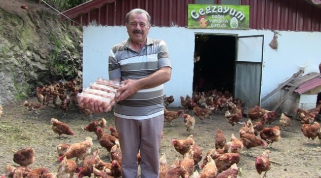 Polislikten emekli olununca organik tavuk çiftliği kurdu