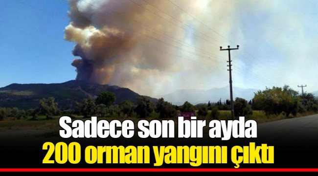 Sadece son bir ayda 200 orman yangını çıktı