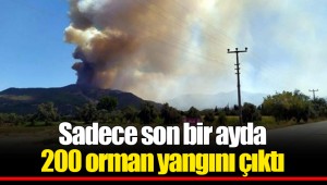 Sadece son bir ayda 200 orman yangını çıktı
