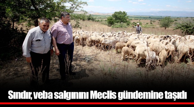Sındır, veba salgınını Meclis gündemine taşıdı