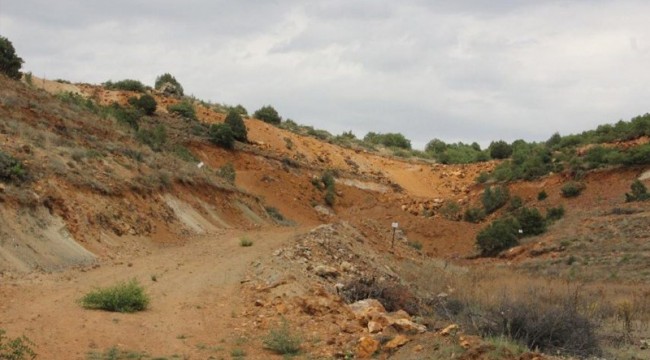 Sırada Eskişehir var, 200 bine yakın ağaç kesilecek