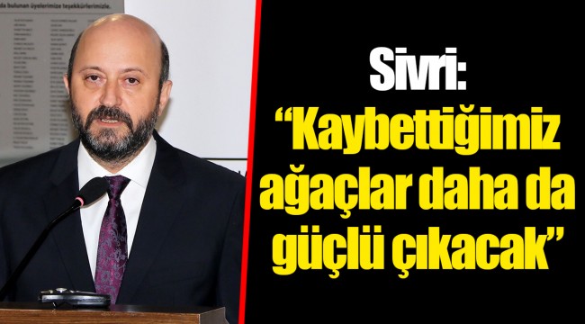 Sivri: “Kaybettiğimiz ağaçlar daha da güçlü çıkacak”