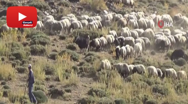 Terörün bittiği köyler şenlenmeye başladı