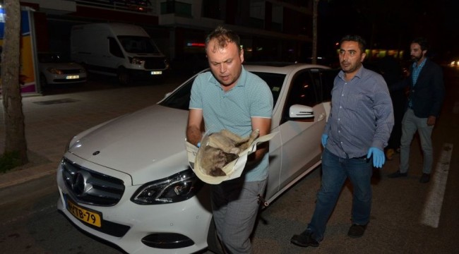 Yolda bulduğu yaralı köpeği kurtarmak için 80 kilometre katetti