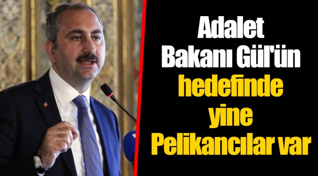 Adalet Bakanı Gül'ün hedefinde yine Pelikancılar var