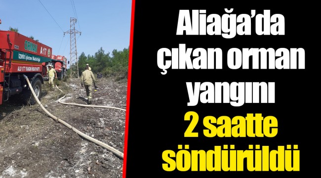 Aliağa’da çıkan orman yangını 2 saatte söndürüldü