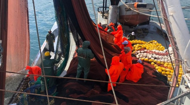Av yasağı bitti: Balıkçılar, 30 yılda sezonun ilk gününde ilk kez bu kadar az palamut yakaladı