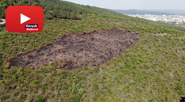Aydos Ormanı'nda kundaklama sonucunda yanan ormanlık alandaki tahribat havadan görüntülendi