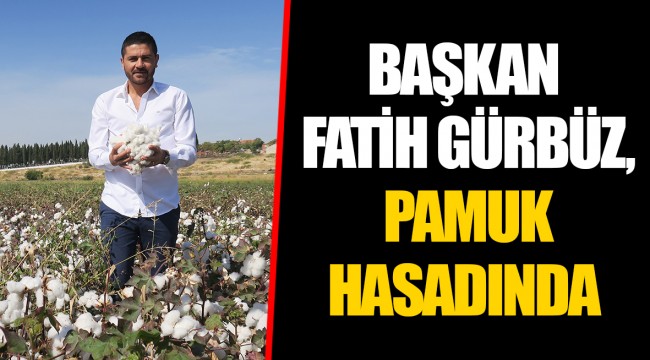 BAŞKAN FATİH GÜRBÜZ, PAMUK HASADINDA