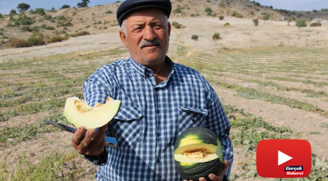 Başkentin kavun merkezinden kötü haber
