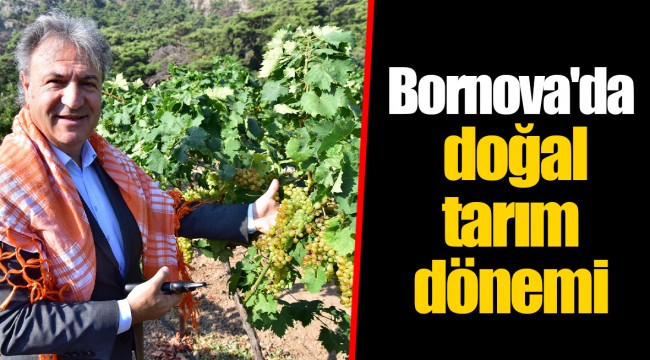 Bornova'da doğal tarım dönemi