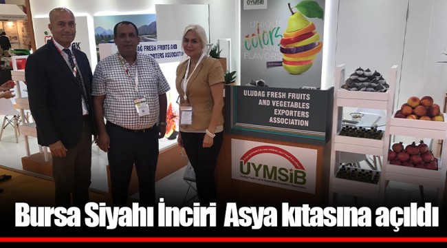 Bursa Siyahı İnciri Asya kıtasına açıldı