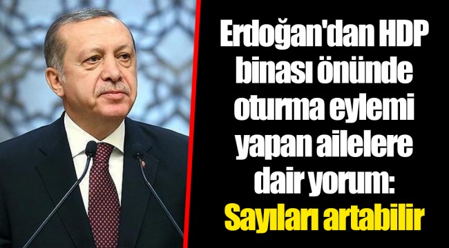 Erdoğan'dan HDP binası önünde oturma eylemi yapan ailelere dair yorum: Sayıları artabilir