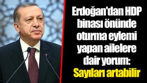 Erdoğan'dan HDP binası önünde oturma eylemi yapan ailelere dair yorum: Sayıları artabilir