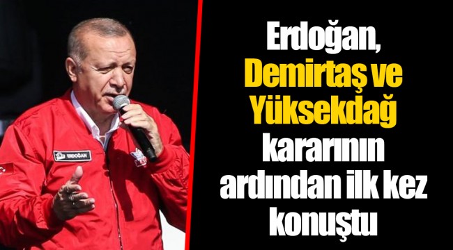 Erdoğan, Demirtaş ve Yüksekdağ kararının ardından ilk kez konuştu