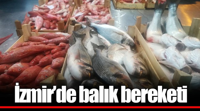 İzmir’de balık bereketi