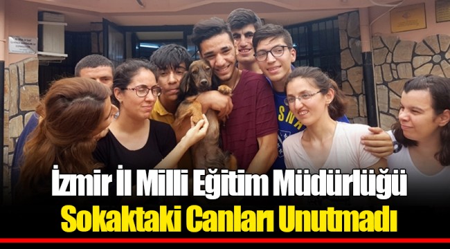 İzmir İl Milli Eğitim Müdürlüğü Sokaktaki Canları Unutmadı