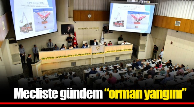 Mecliste gündem “orman yangını”