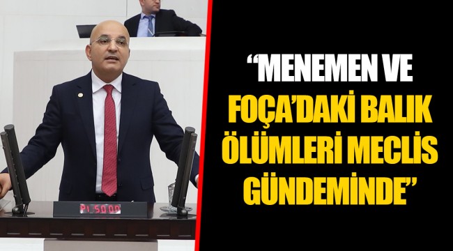“MENEMEN VE FOÇA’DAKİ BALIK ÖLÜMLERİ MECLİS GÜNDEMİNDE”