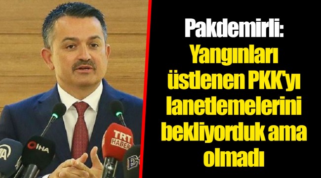 Pakdemirli: Yangınları üstlenen PKK'yı lanetlemelerini bekliyorduk ama olmadı