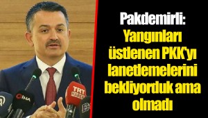 Pakdemirli: Yangınları üstlenen PKK'yı lanetlemelerini bekliyorduk ama olmadı