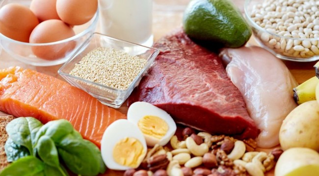 Protein kaynaklı beslenme trendi süt ve yem sektörünün önemini artırıyor